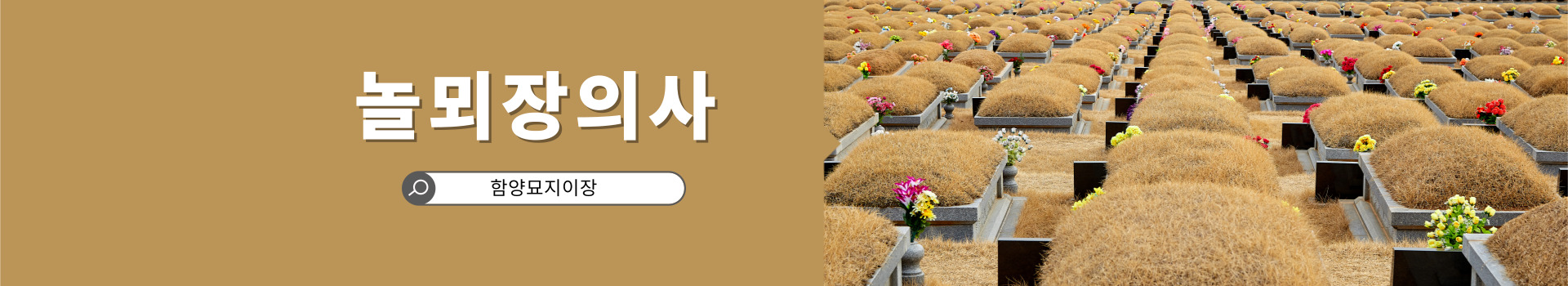 놀뫼장의사 PC 비주얼 0